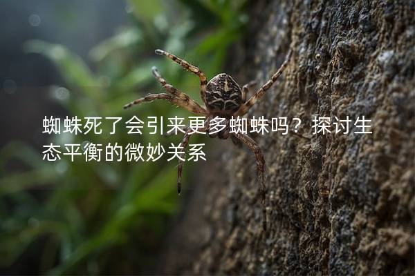 蜘蛛死了會引來更多蜘蛛嗎？探討生態(tài)平衡的微妙關(guān)系